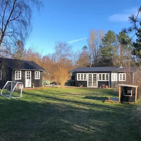 Colourful Life On Zealand's Odde