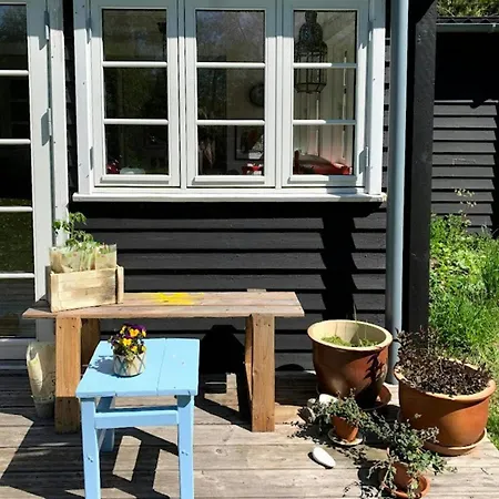 Colourful Life On Zealand's Odde