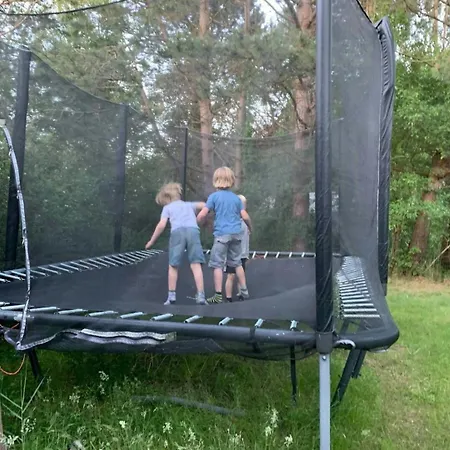 Colourful Life On Zealand's Odde