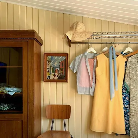 Colourful Life On Zealand's Odde