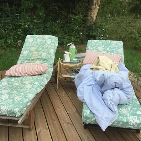 Colourful Life On Zealand's Odde * Yderby