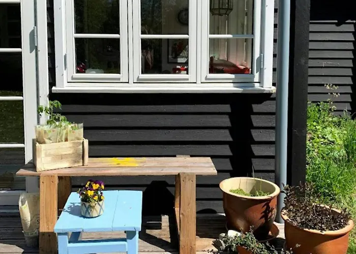 Colourful Life On Zealand's Odde